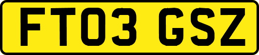 FT03GSZ