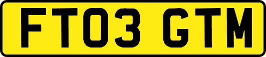 FT03GTM