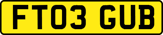 FT03GUB