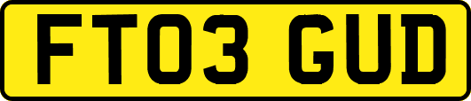 FT03GUD