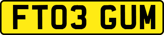 FT03GUM