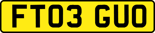 FT03GUO