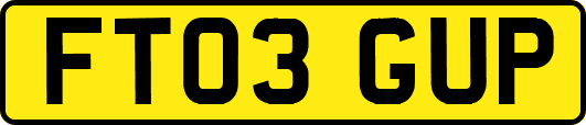 FT03GUP