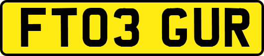 FT03GUR