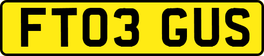 FT03GUS