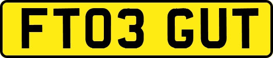 FT03GUT