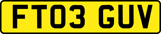 FT03GUV