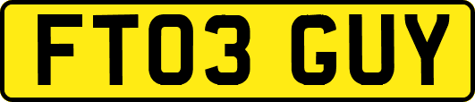 FT03GUY
