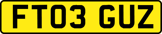 FT03GUZ