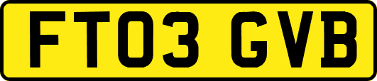 FT03GVB