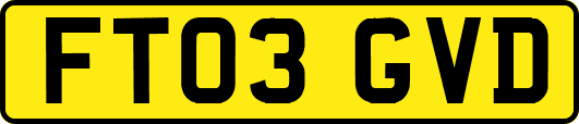 FT03GVD
