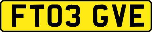 FT03GVE