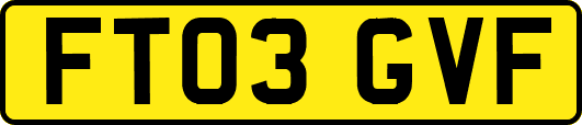 FT03GVF