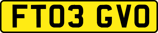FT03GVO
