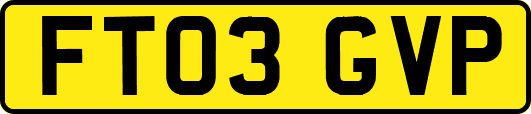 FT03GVP