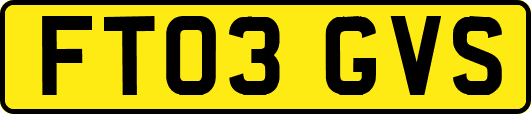 FT03GVS