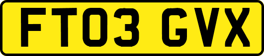 FT03GVX