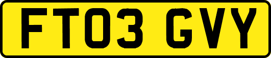 FT03GVY