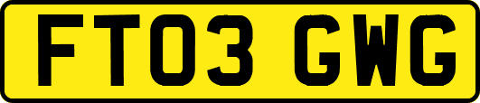 FT03GWG