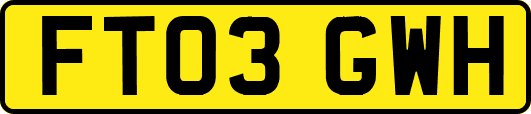 FT03GWH