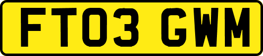 FT03GWM