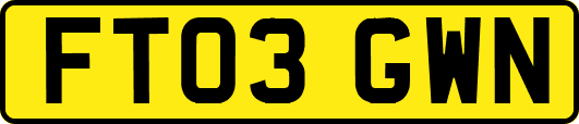 FT03GWN