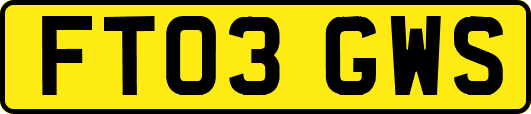 FT03GWS