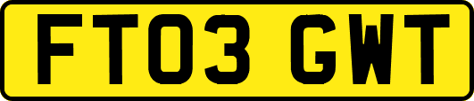 FT03GWT
