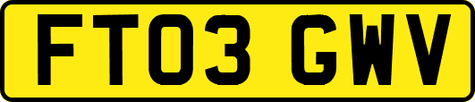 FT03GWV