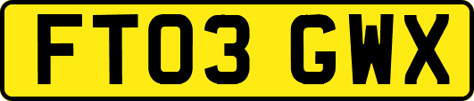 FT03GWX
