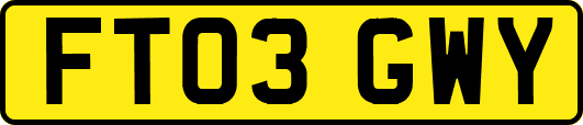 FT03GWY