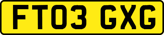 FT03GXG