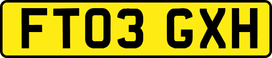 FT03GXH
