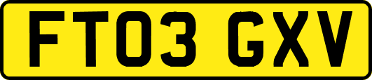 FT03GXV