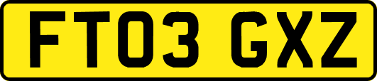 FT03GXZ