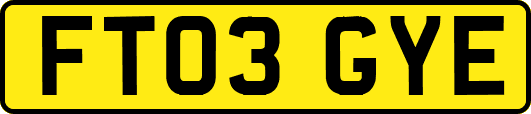 FT03GYE