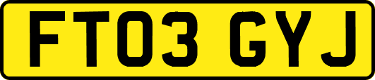 FT03GYJ