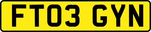 FT03GYN