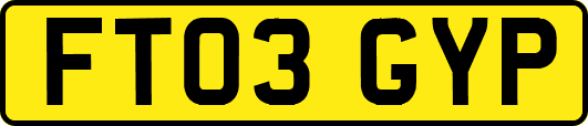 FT03GYP