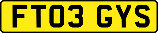 FT03GYS