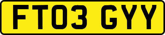 FT03GYY