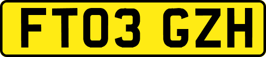 FT03GZH