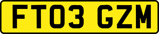 FT03GZM