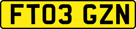 FT03GZN
