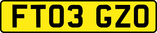 FT03GZO