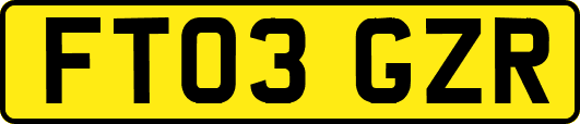 FT03GZR