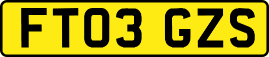 FT03GZS