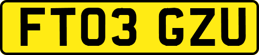 FT03GZU
