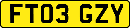 FT03GZY