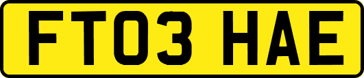 FT03HAE